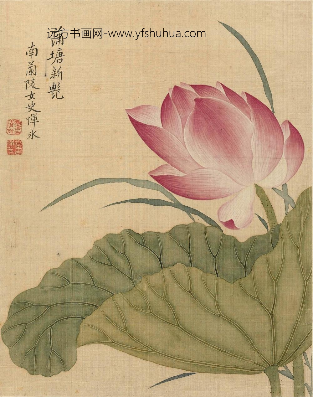 恽冰_花卉册（十开）_