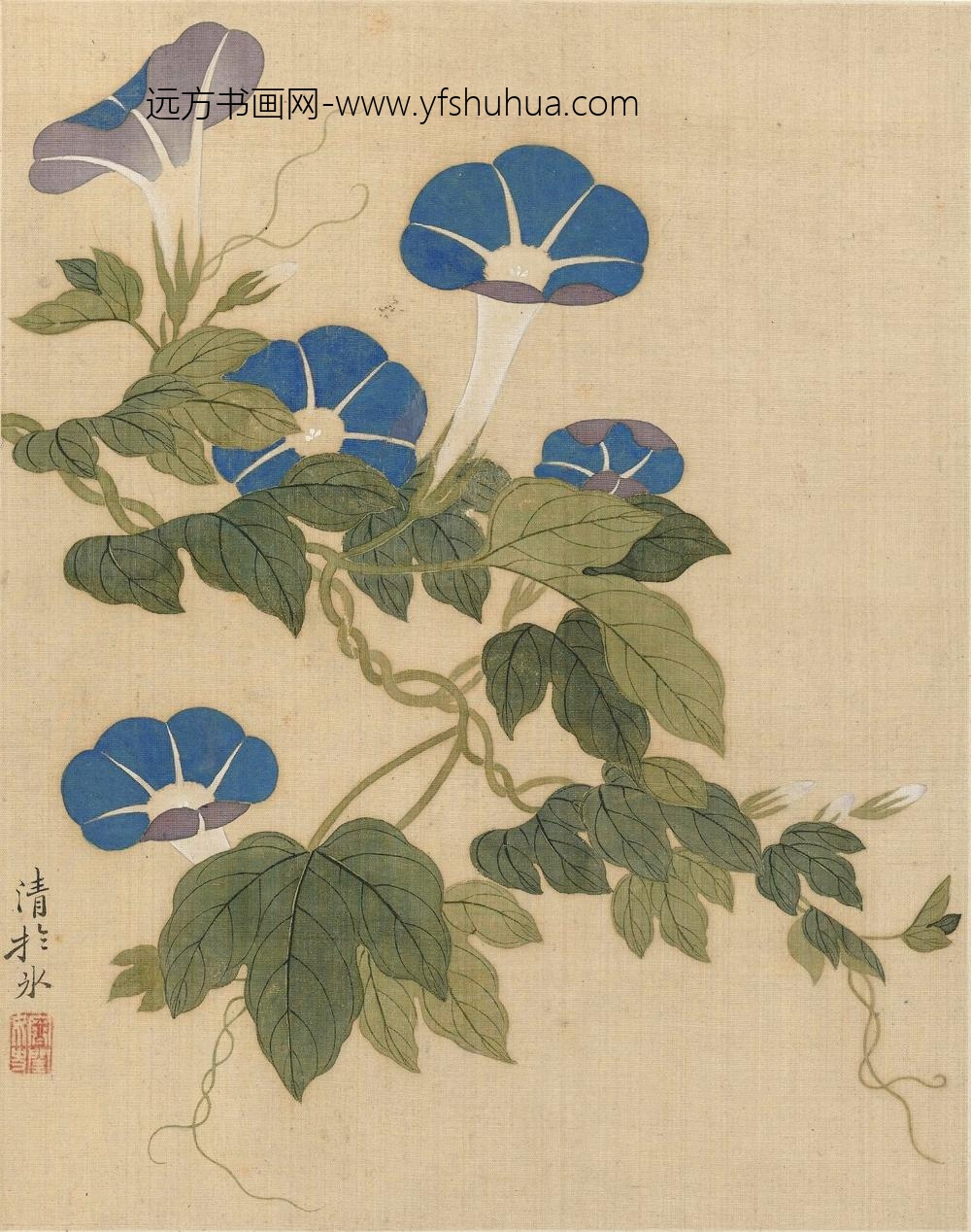 恽冰_花卉册（十开）_