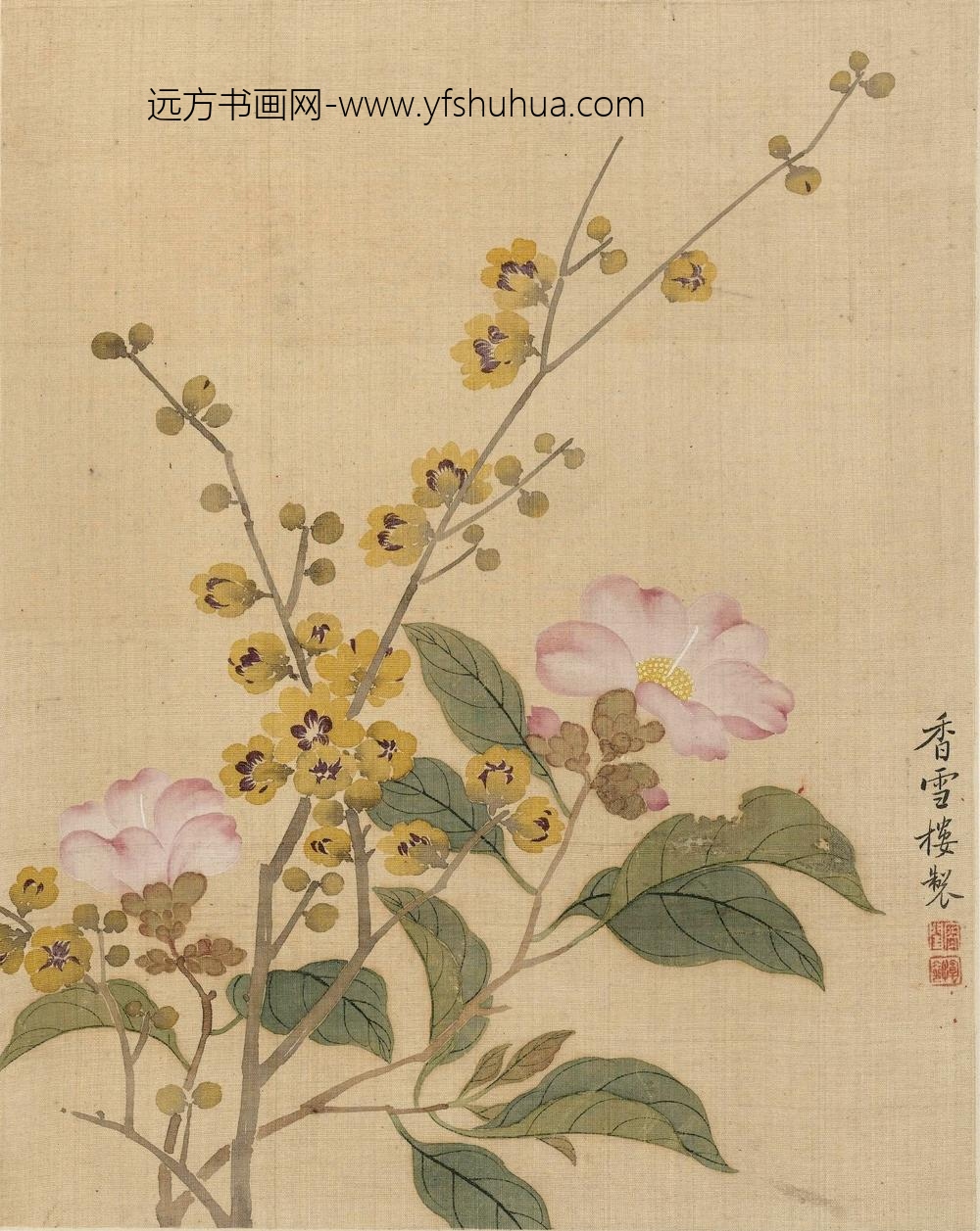 恽冰_花卉册（十开）_