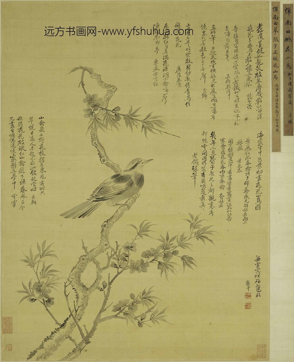 恽寿平_摹张中桃花山鸟图轴