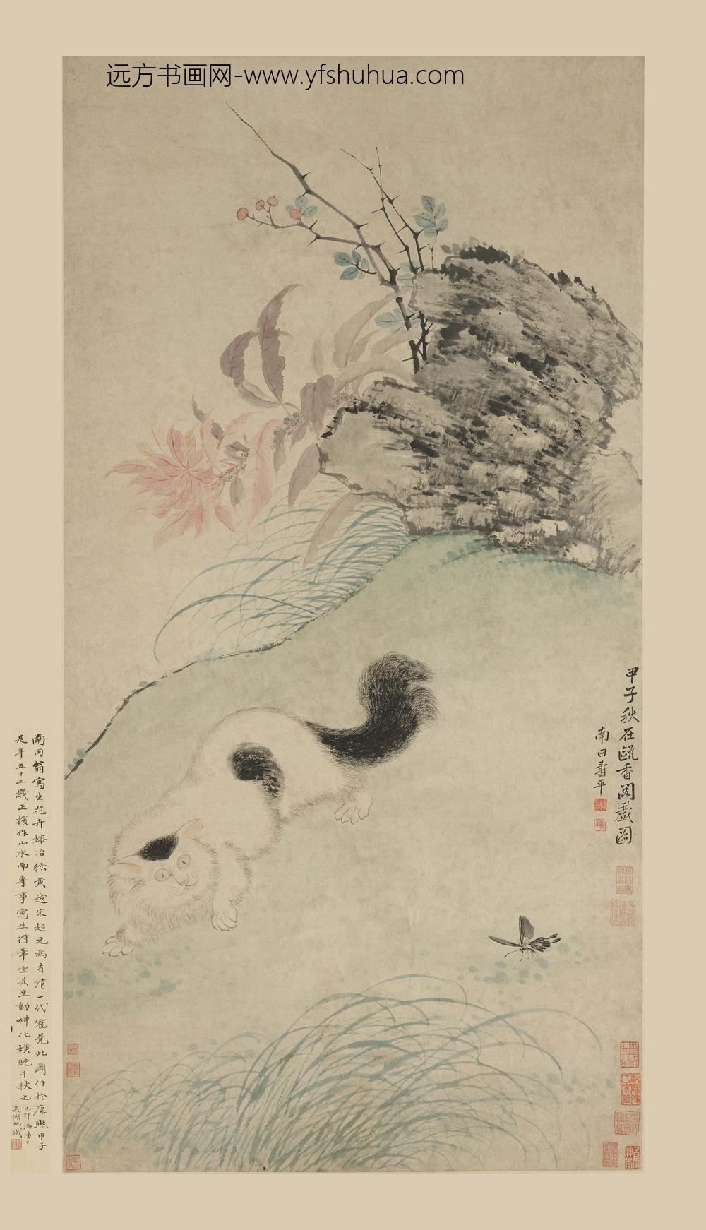 恽寿平_秋花猫蝶图轴