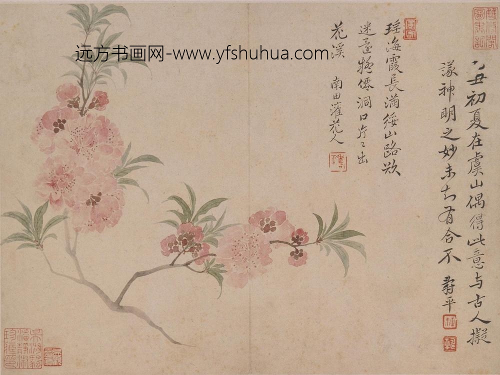 恽寿平_花卉册_