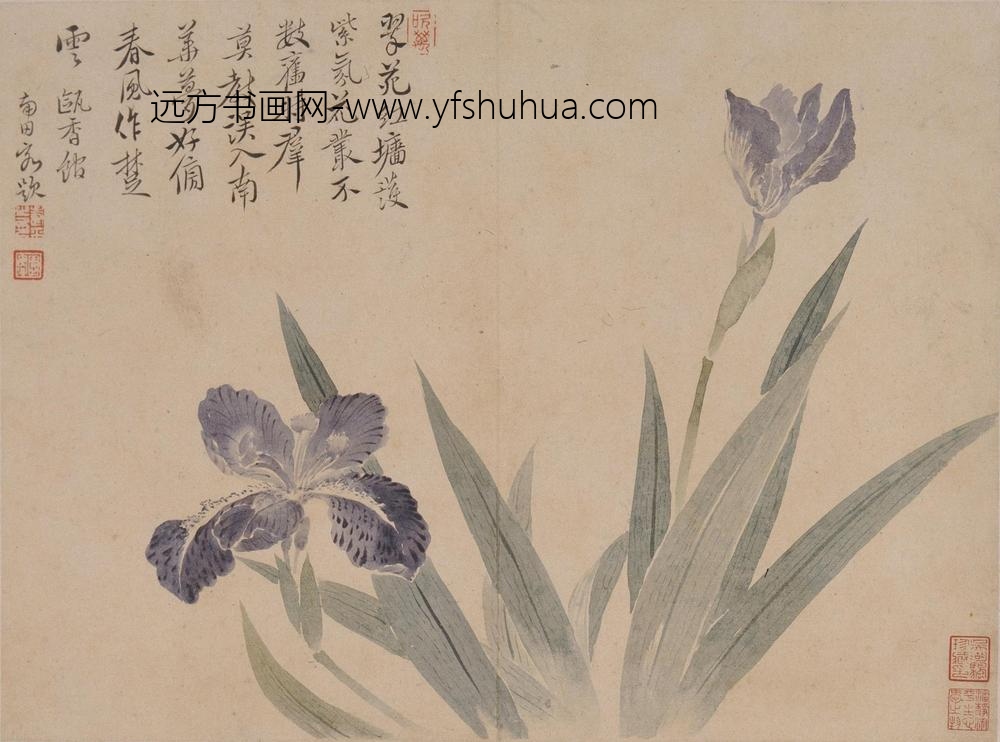 恽寿平_花卉册_