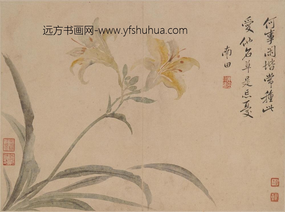 恽寿平_花卉册_