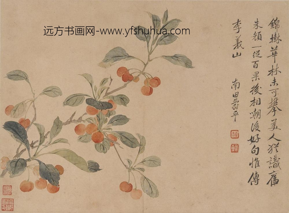 恽寿平_花卉册_