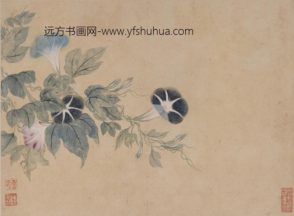 恽寿平_花卉册_