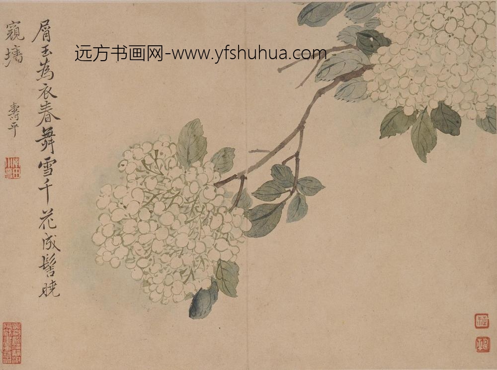 恽寿平_花卉册_