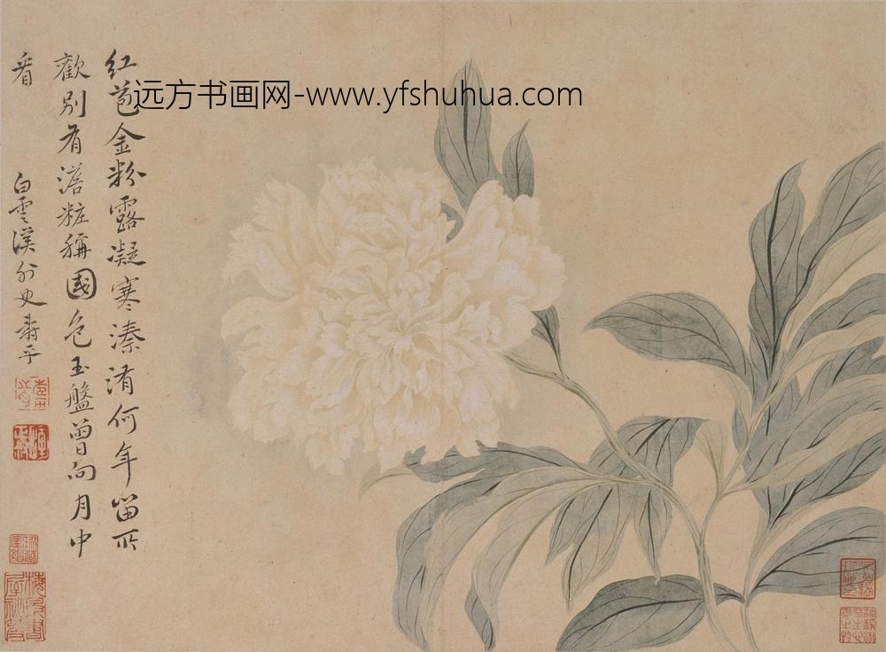 恽寿平_花卉册_