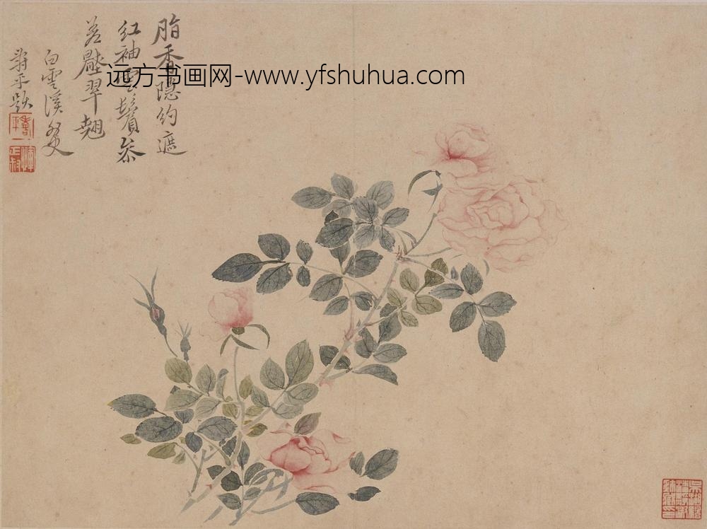 恽寿平_花卉册_