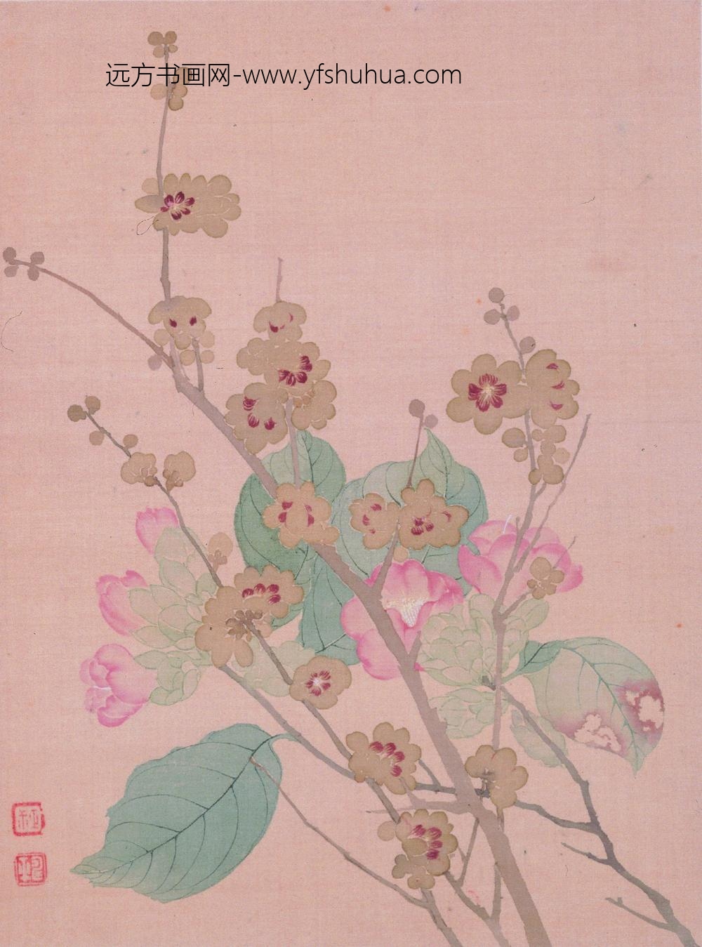 恽寿平_花卉图册_