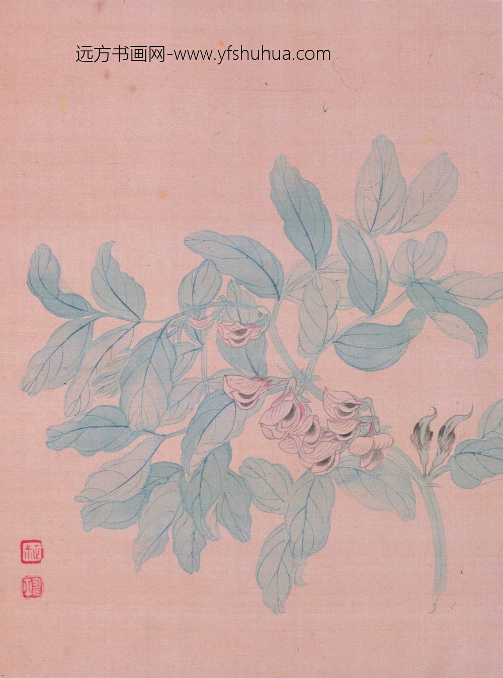 恽寿平_花卉图册_