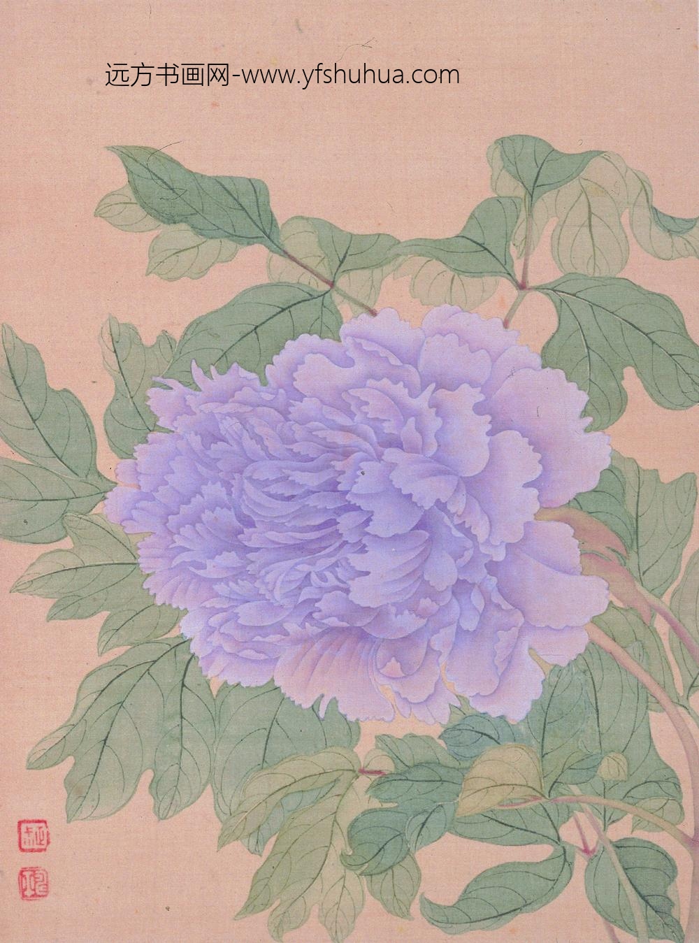 恽寿平_花卉图册_