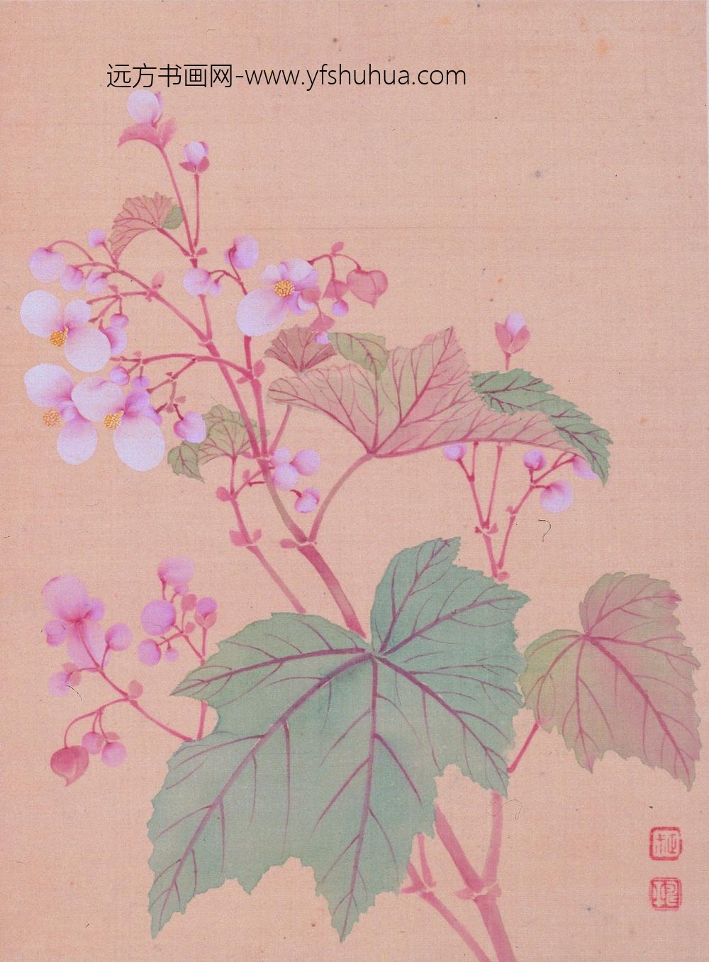 恽寿平_花卉图册_