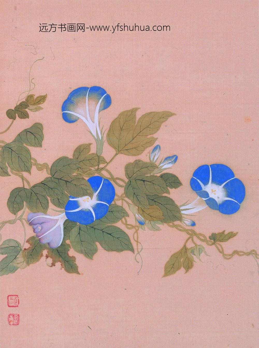 恽寿平_花卉图册_