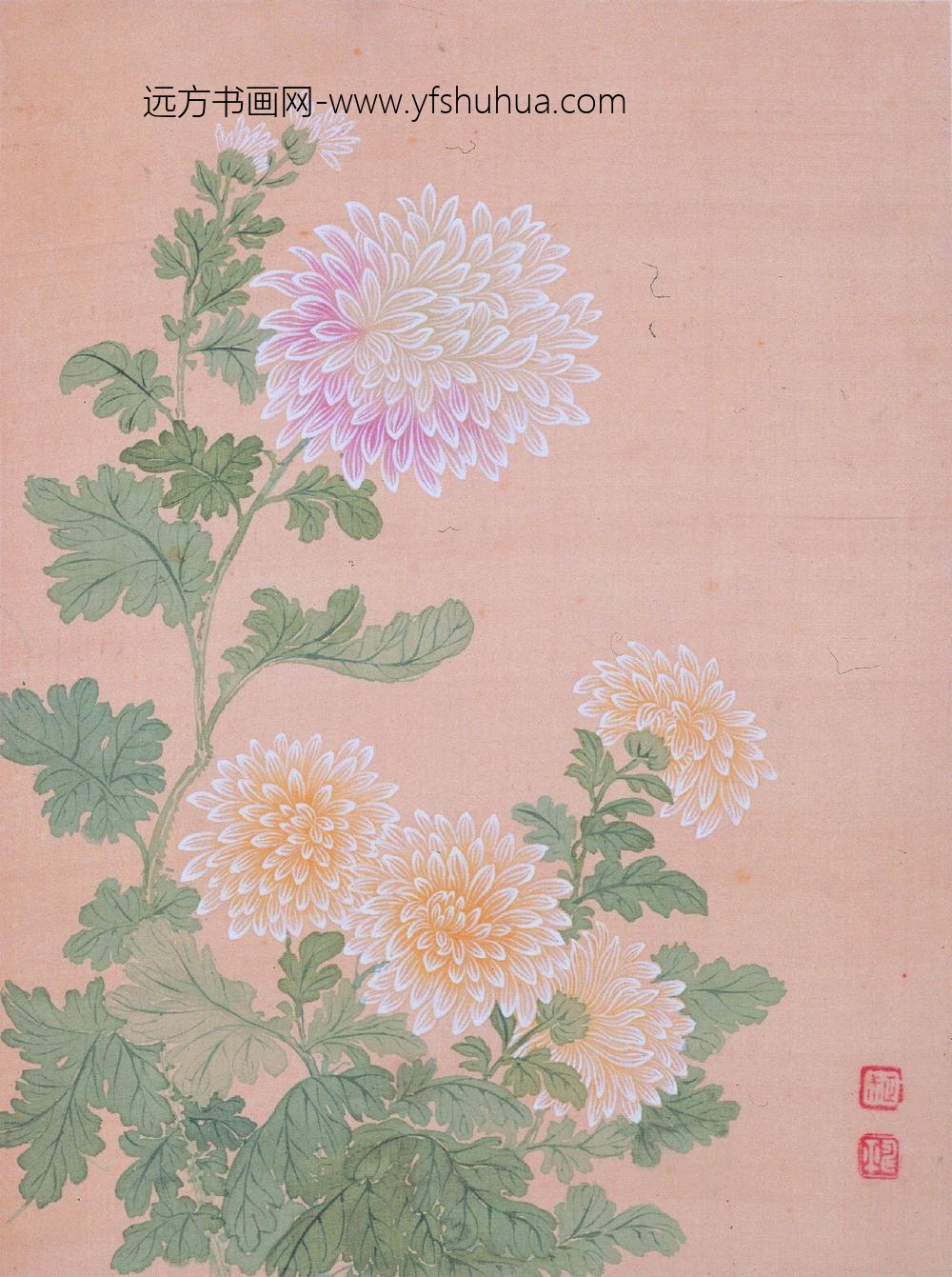 恽寿平_花卉图册_