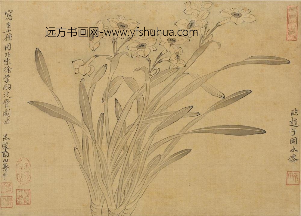 恽寿平_花卉图册（十开）_