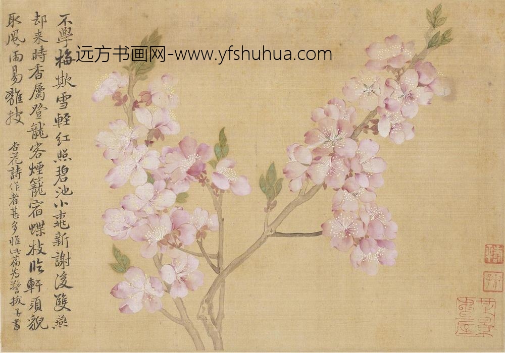 恽寿平_花卉图册（十开）_