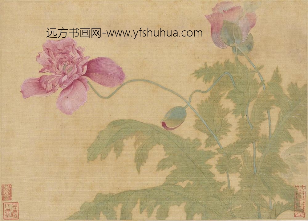 恽寿平_花卉图册（十开）_