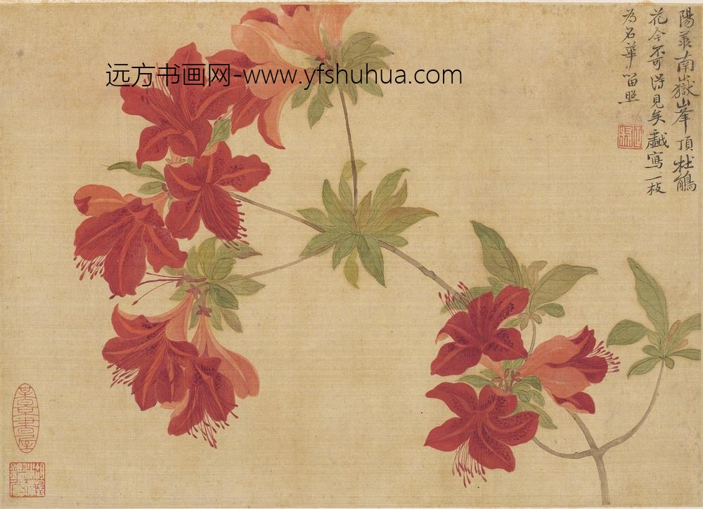 恽寿平_花卉图册（十开）_