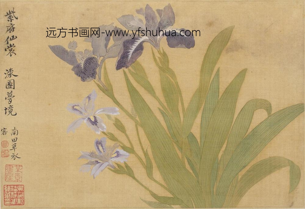 恽寿平_花卉图册（十开）_