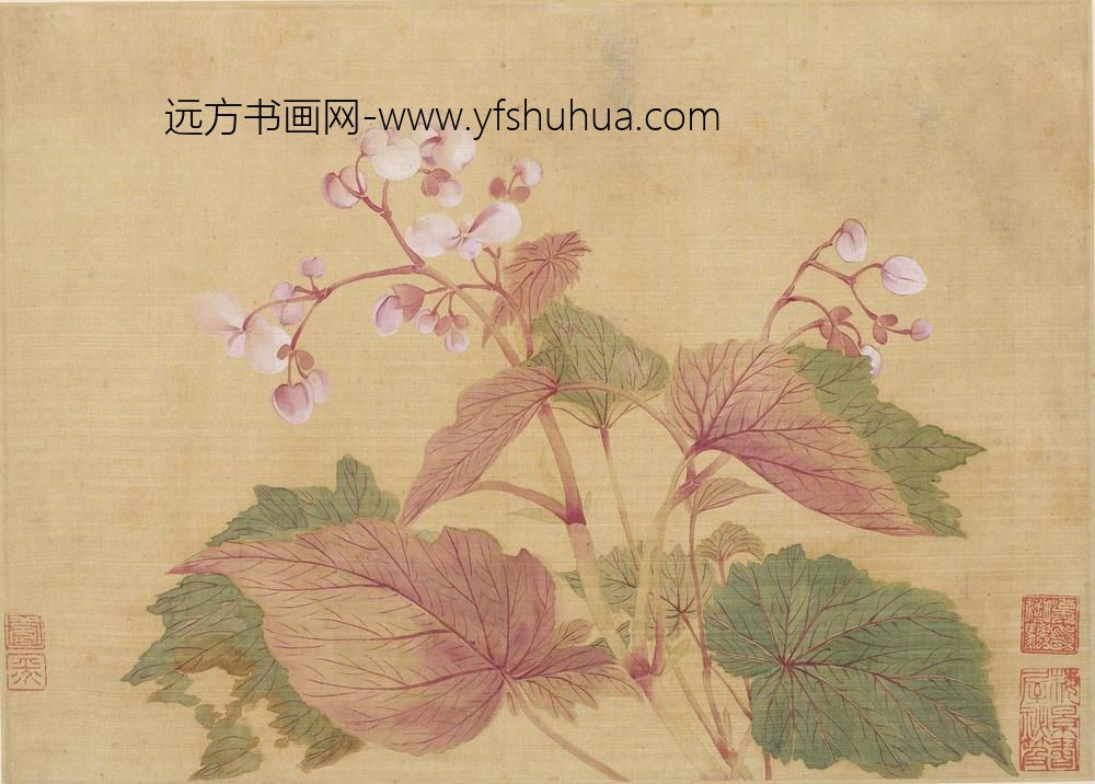 恽寿平_花卉图册（十开）_