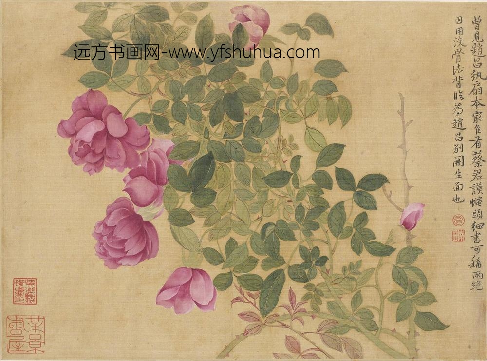 恽寿平_花卉图册（十开）_