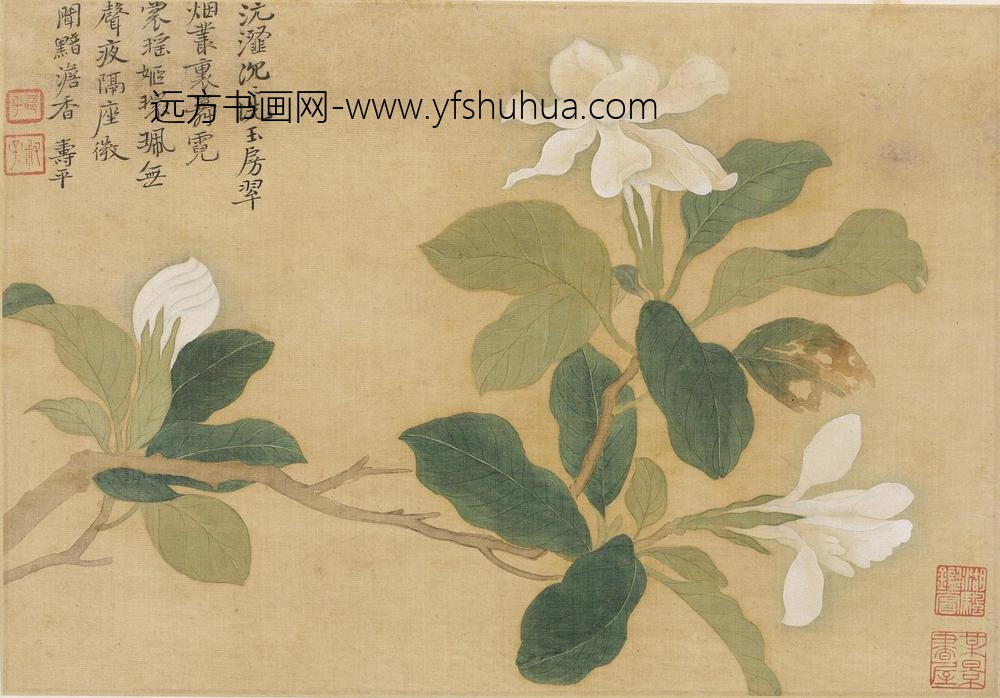 恽寿平_花卉图册（十开）_