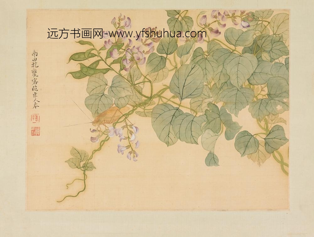恽寿平_花鸟杂画册