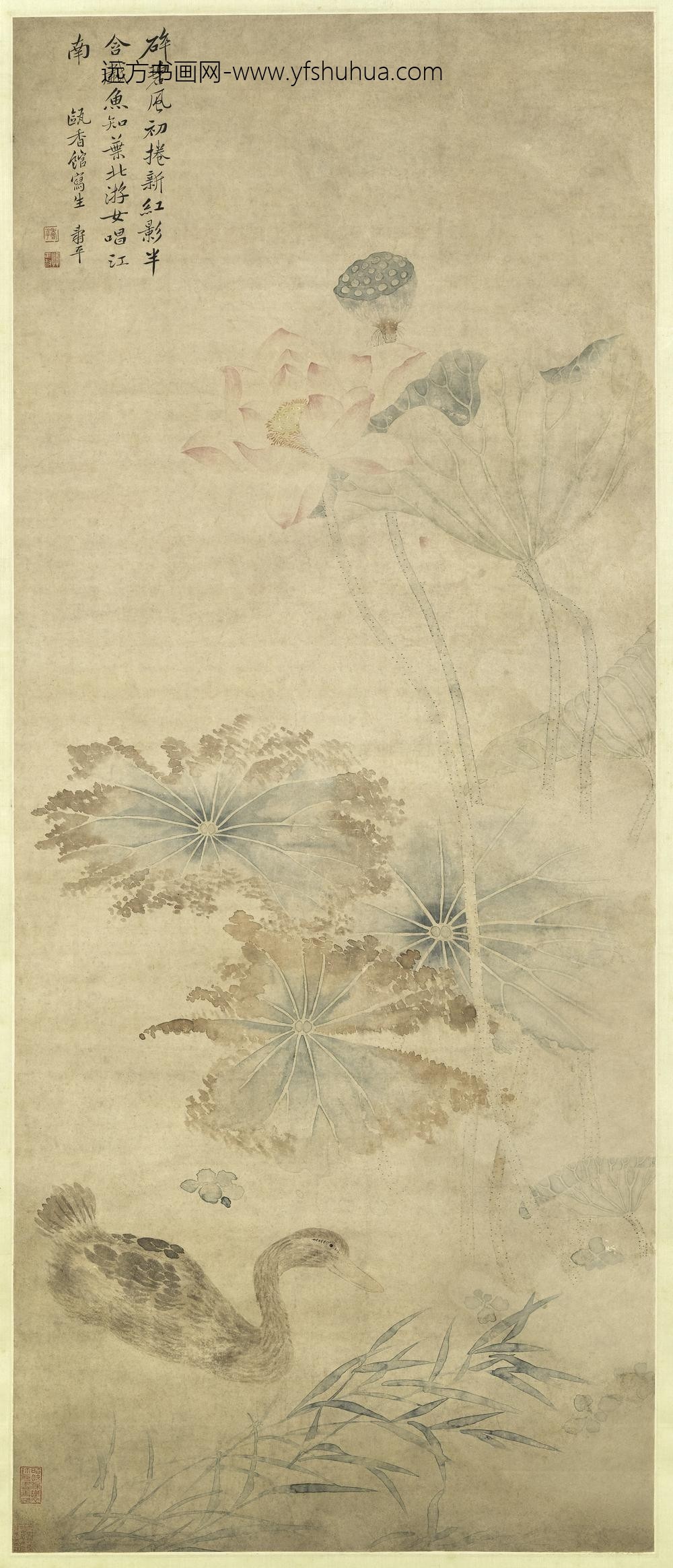 恽寿平_莲鸭图轴