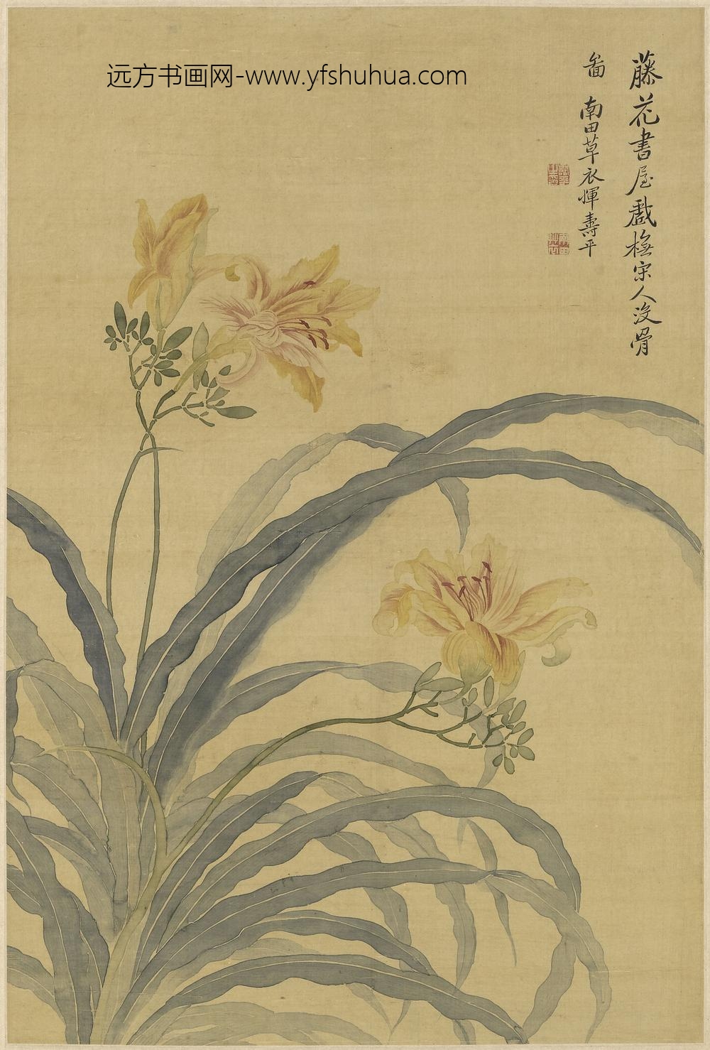 恽寿平_萱花图轴