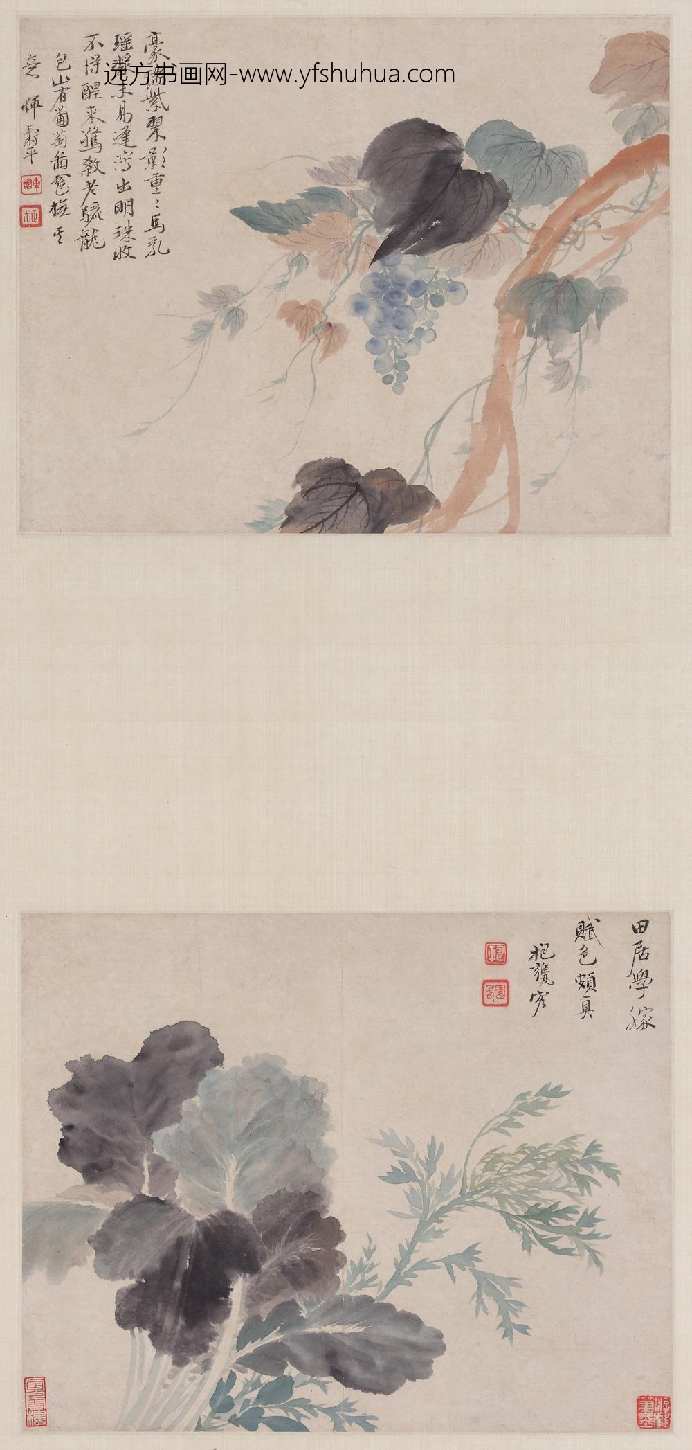 恽寿平_蔬果斗方图轴