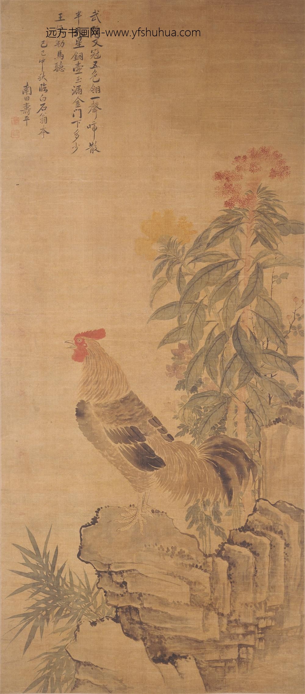 恽寿平_雄鸡图轴