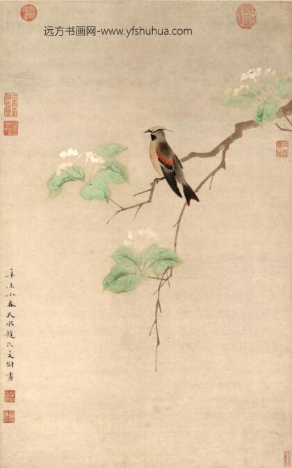 文俶 碧叶绣羽图轴.jpg