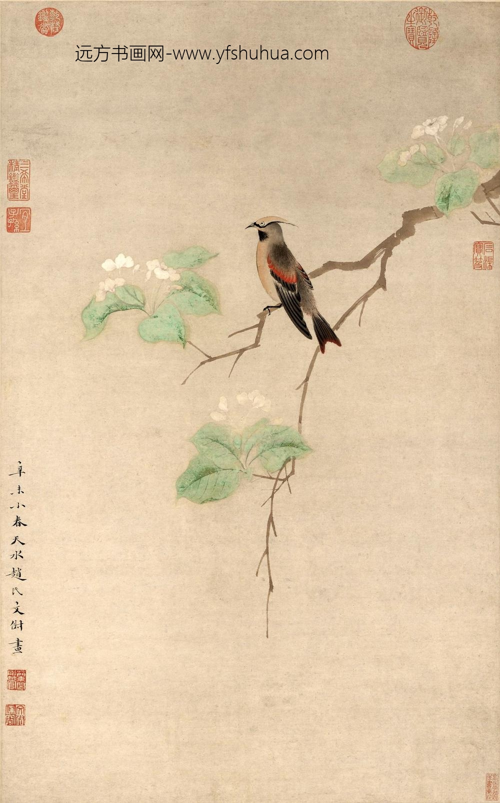 文俶_碧叶绣羽图轴