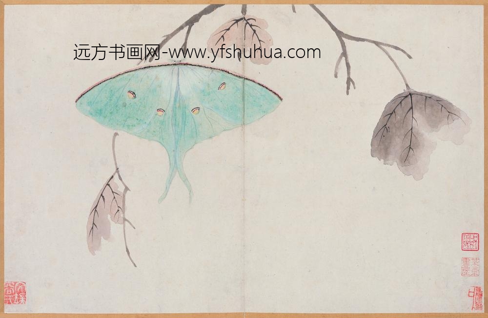 文俶_花蝶草虫册