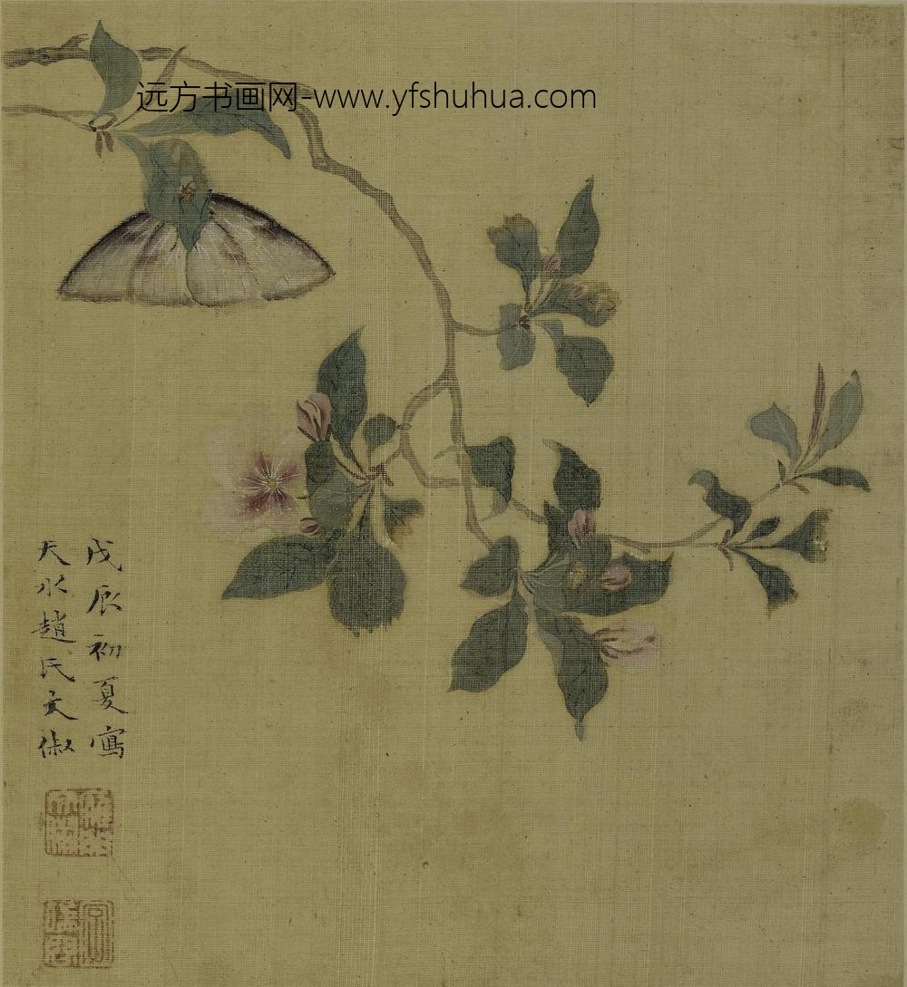 文俶_花鸟草虫图册（八开）_