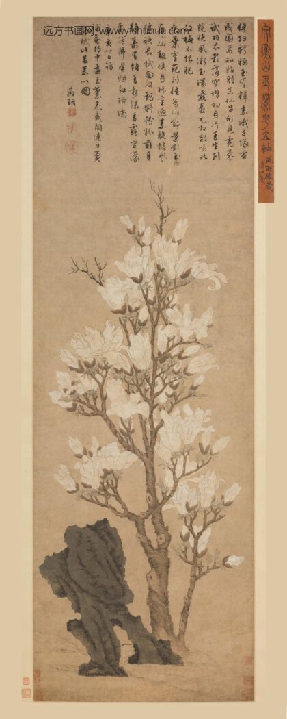 文徵明（文征明） 玉兰花图轴.jpg