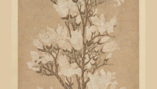 文徵明（文征明） 玉兰花图轴.jpg