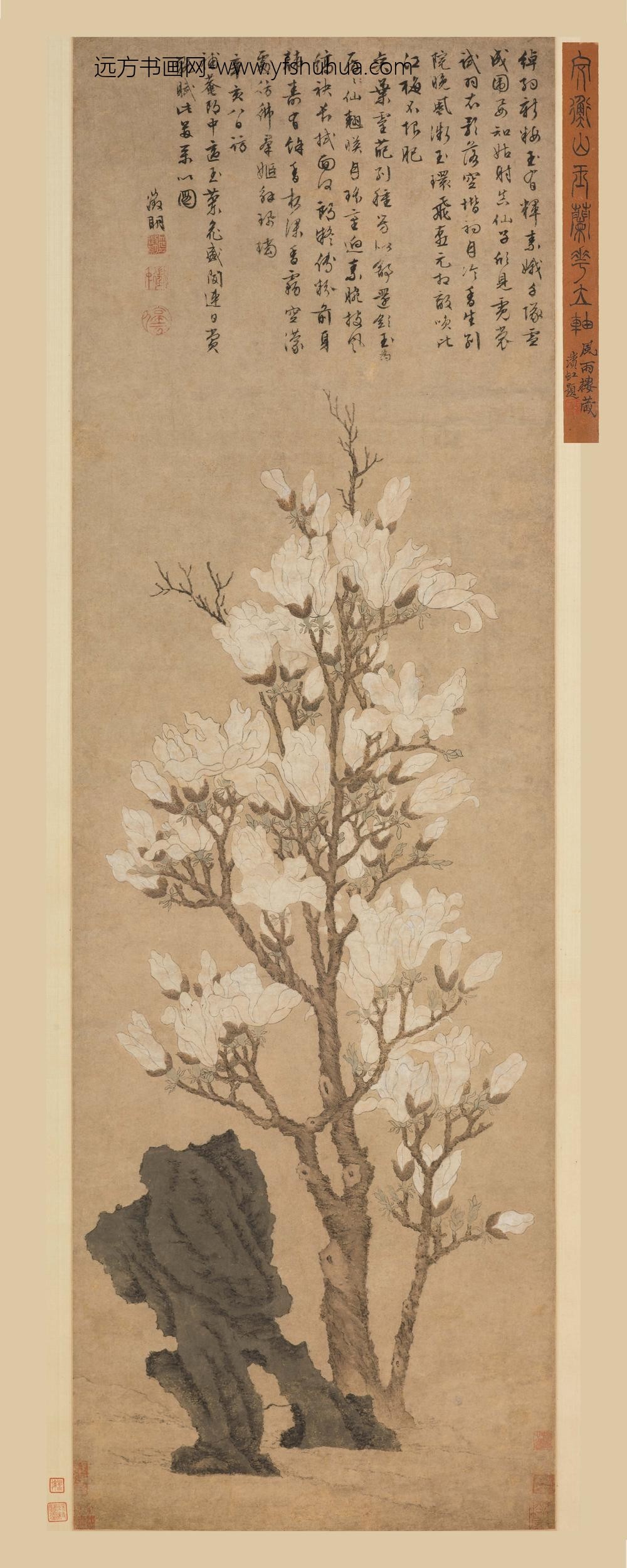 文徵明（文征明）_玉兰花图轴