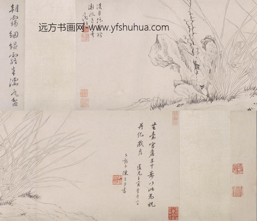 文徵明（文征明）_白描兰花图卷