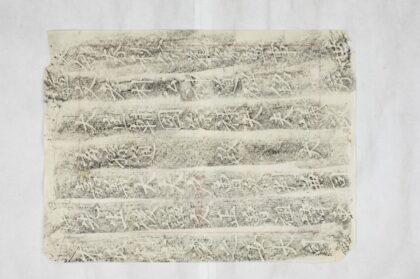 朝鮮國朴殘碑 0.jpg