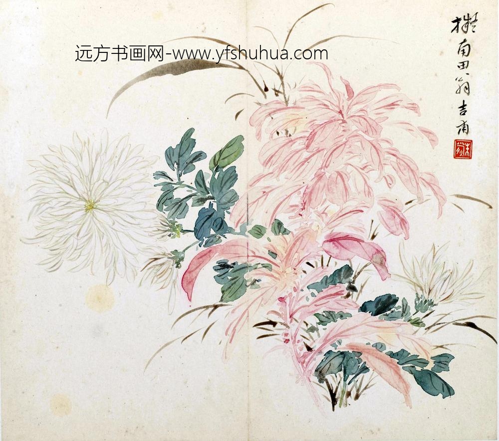 朱熊_花卉册_