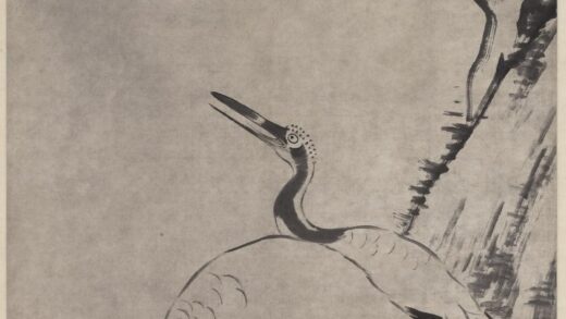 朱耷 松荫双鹤图轴.jpg