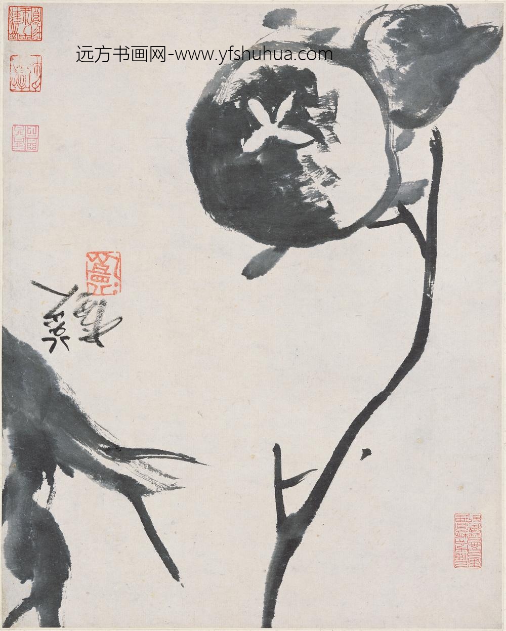 朱耷_石榴图散页