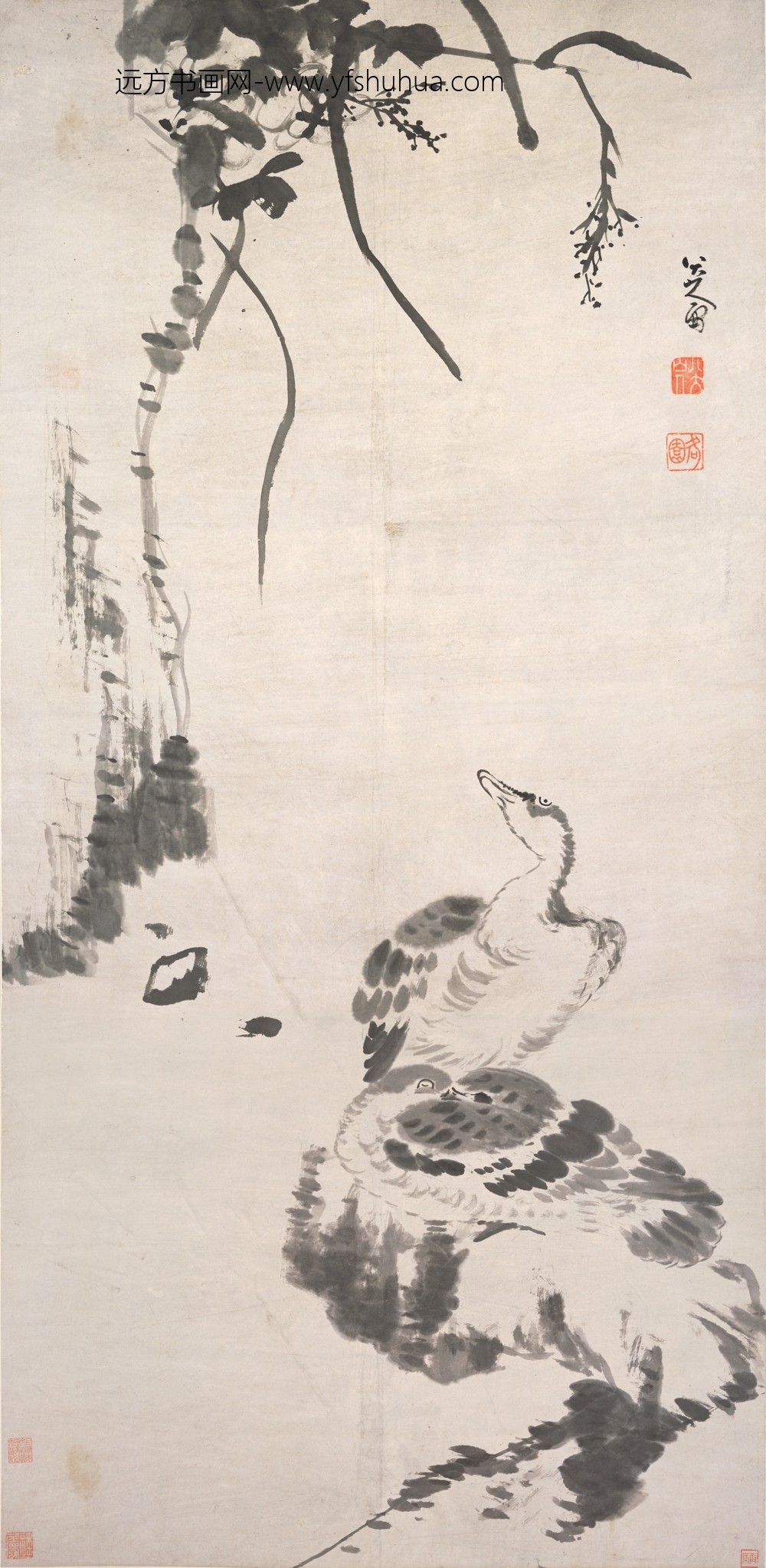 朱耷_芦雁图轴-