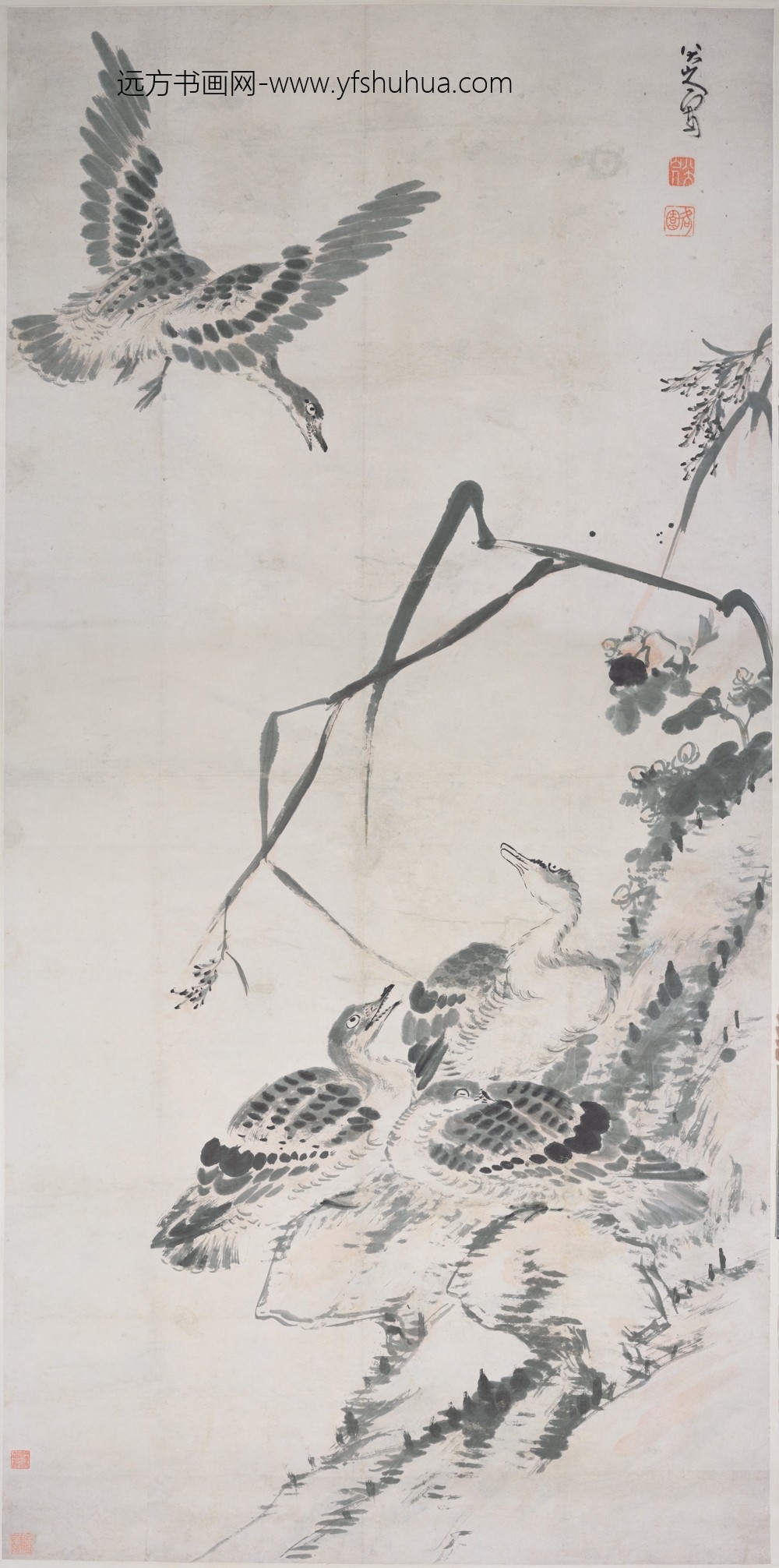 朱耷_芦雁图轴-