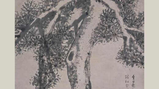朱耷 苍松图轴.jpg