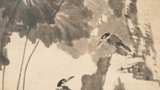 朱耷 荷花翠鸟图轴.jpg