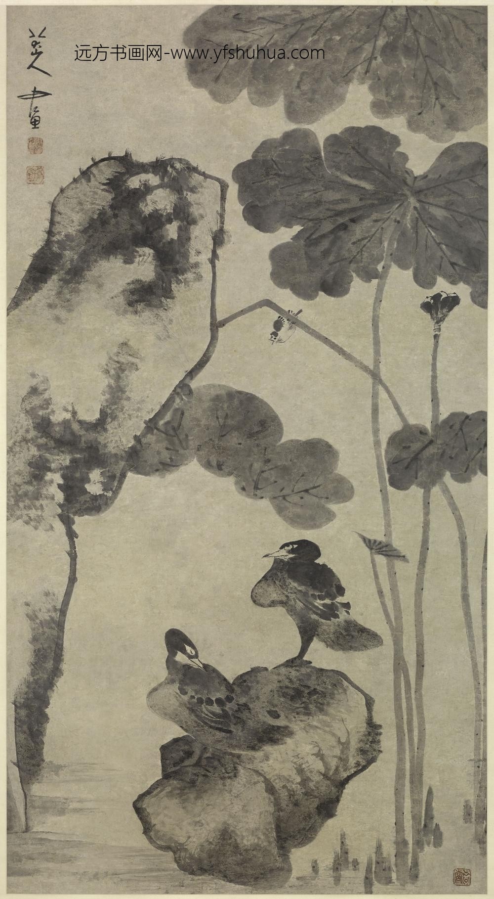 朱耷_荷鸭图轴-