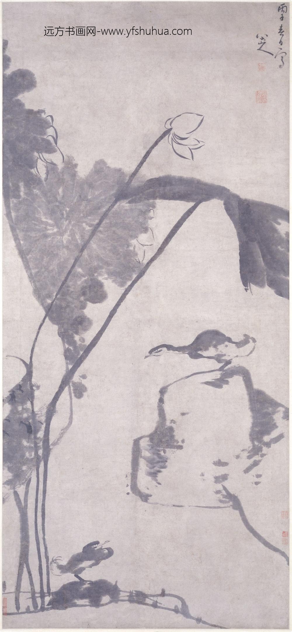 朱耷_荷鸭图轴-